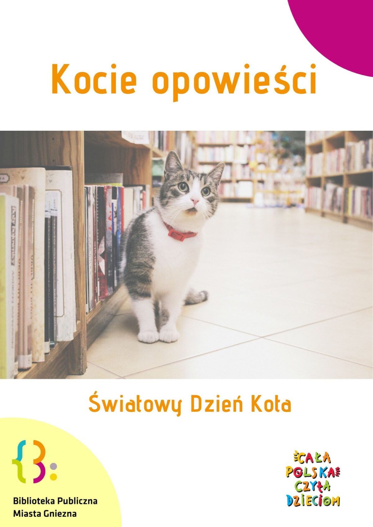 Kocie opowieści